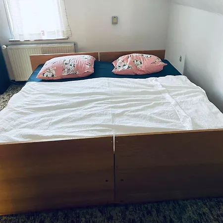 홈스테이 Vs-homestay *