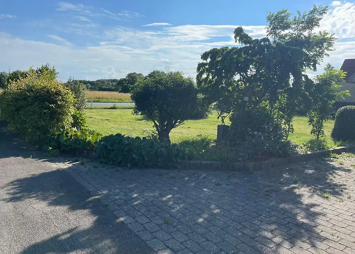 Habitación en casa particular Vs-homestay